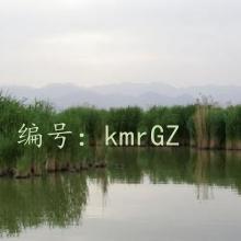 Ͻ