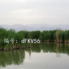 ΢