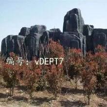 ΢