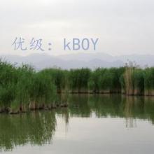 仯