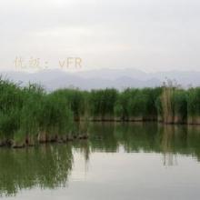 ά