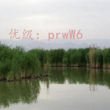 仯