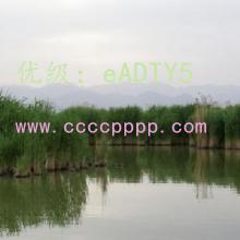 ά