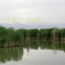 Ͻ