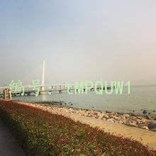 ˲